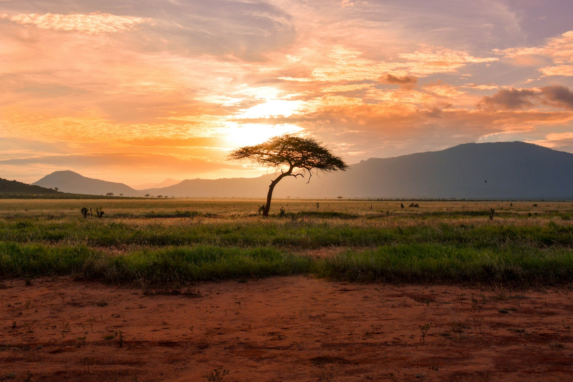 Amboseli National Park - elephants with Kilimanjaro