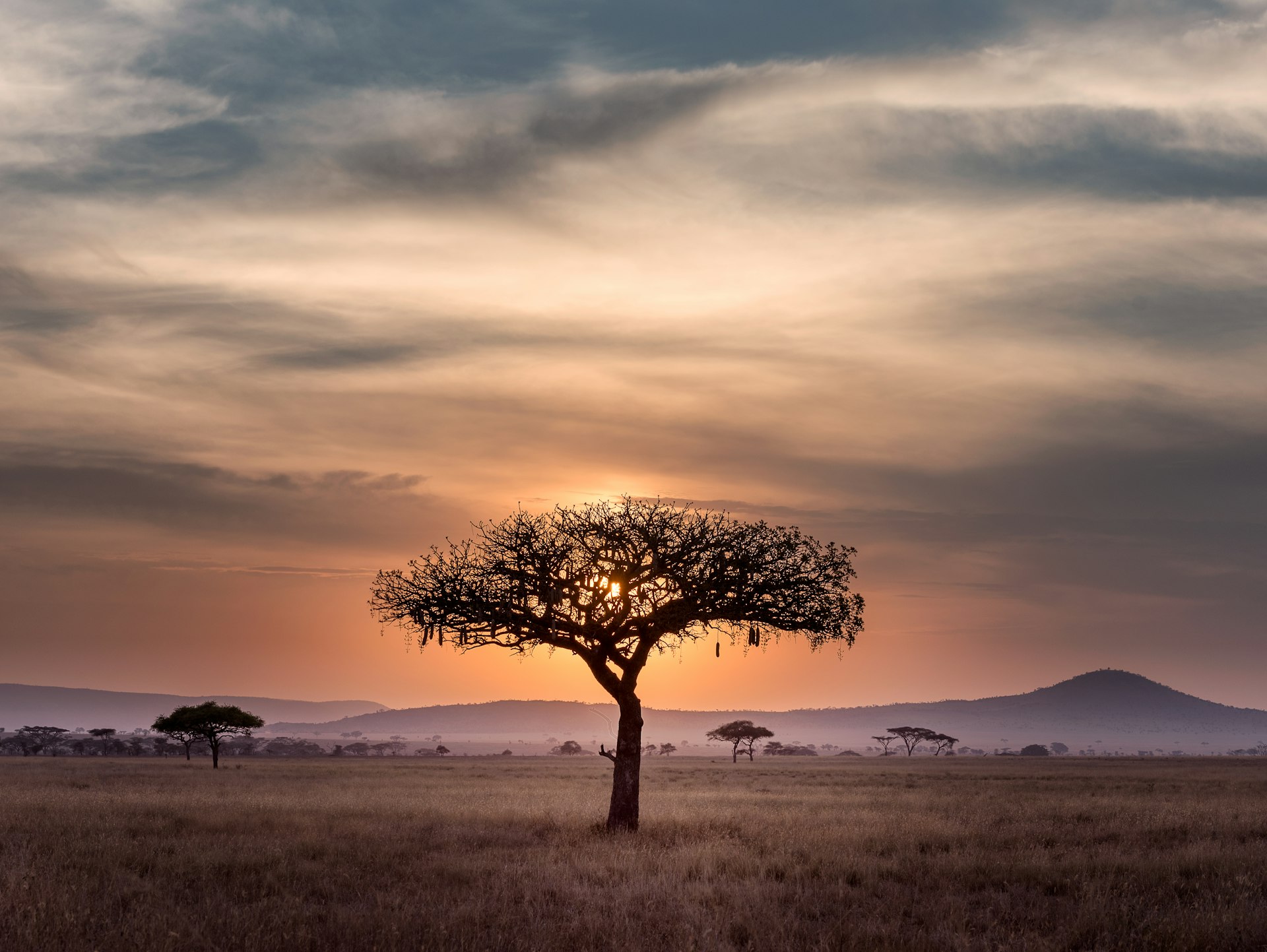 Serengeti National Park Tanzania - endless savannah plains